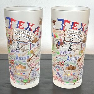 Catstudio Texas State Frosted Drinking Glass X 2 Graphic Art 15 Oz Souvenir
